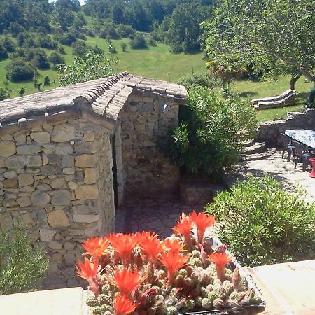 Le Relais De Vazeille Bed & Breakfast Saint-Maurice-dʼIbie Екстериор снимка